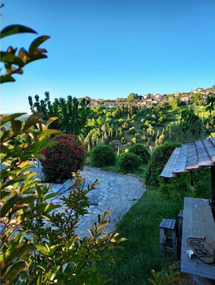 Agnanti Zitsas Hotel Buitenkant foto